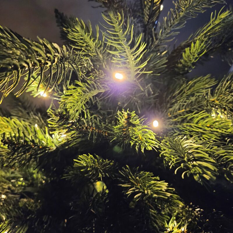 Künstlicher Weihnachtsbaum Outdoor in verschiedenen Größen - Kalle Kommt